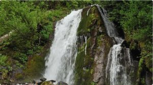 New-Project-1-300x167