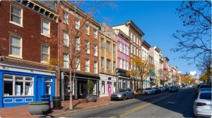 New-Project-2-1-300x167