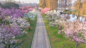 Why-Choose-Essex-County-1-300x167