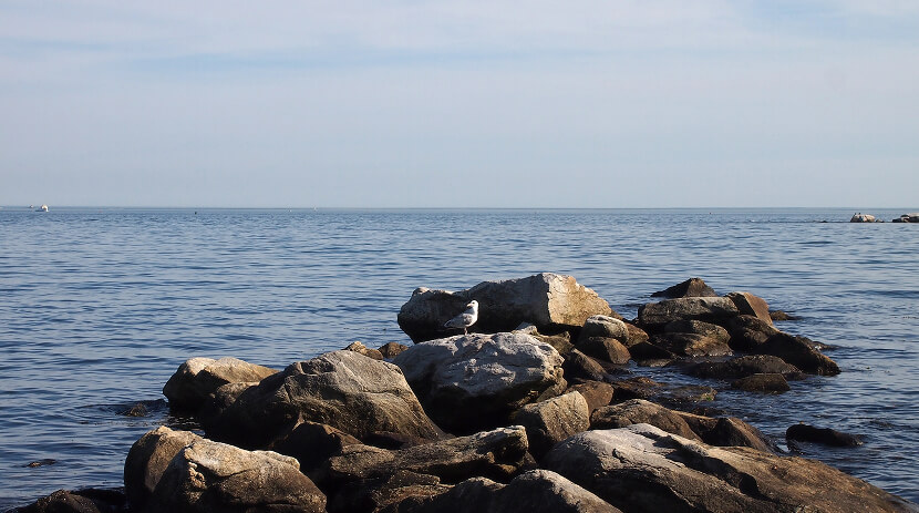 why-choose-bergen-county-img